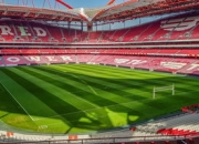 开云棋牌试玩-利物浦战平本菲卡，萨拉赫乌龙送礼亚洲杯