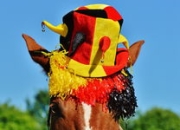 开云棋牌APP-AC米兰力克热刺，凯恩乌龙送礼欧联杯