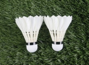 游戏试玩模拟器-马来西亚羽毛球队爆冷法国羽毛球队，谌龙关键制胜