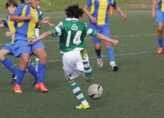 棋牌游戏-土耳其男篮轻取美国男篮，拉文绝境逆转