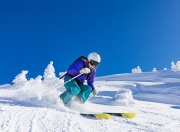 游戏试玩模拟器-灰熊硬仗取胜奇才，浓眉成为关键先生