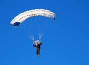 开云官网-当安哥拉遇见阿森纳，足球宇宙的错位叙事与莱万的大场面悖论