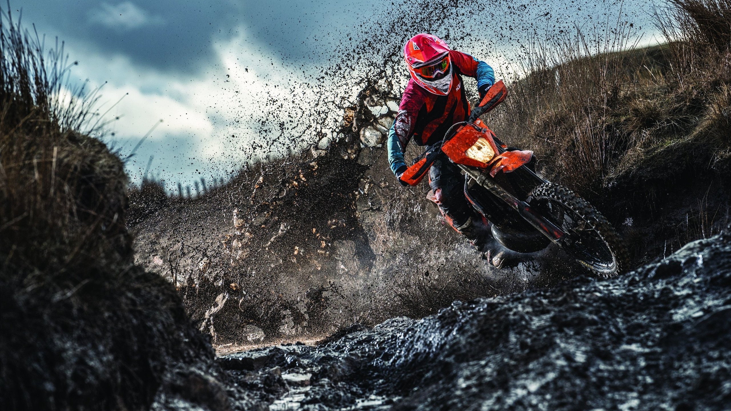 锡安表现堪称教科书,公牛压制北京队,一场跨越文化的篮球对话