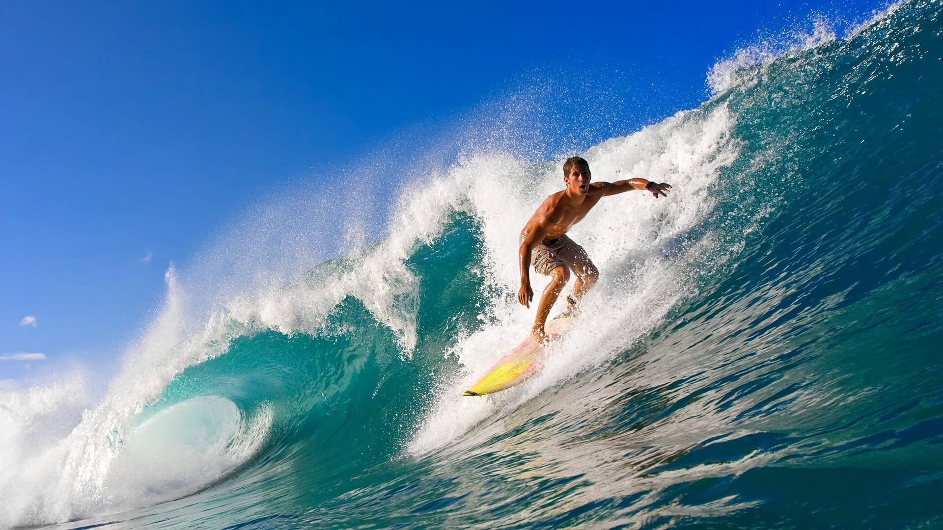 张本智和点燃赛场,奥地利队上演惊天逆转击败波兰队